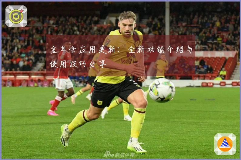 金年会应用更新：全新功能介绍与使用技巧分享