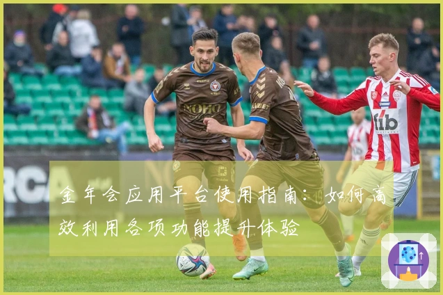 金年会应用平台使用指南：如何高效利用各项功能提升体验